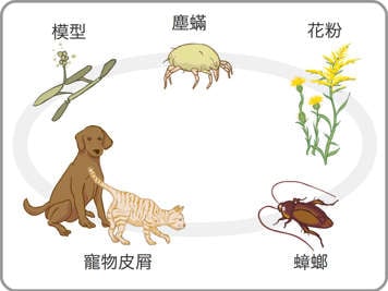 黴菌、塵蟎、花粉、寵物毛屑及蟑螂示意圖