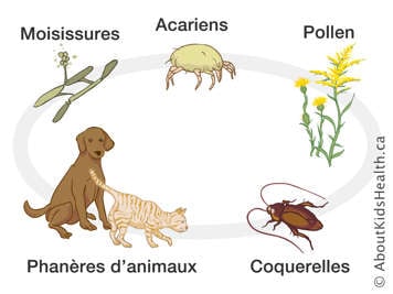 Illustration des moisissures, des acariens, du pollen, des coquerelles et des animaux