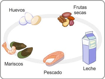 Ilustraci&oacute;n mostrando huevos, frutos secos, marisco, pescado y leche