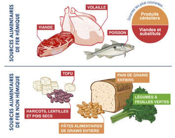 Des produits céréaliers et des viandes et substituts contenant le fer