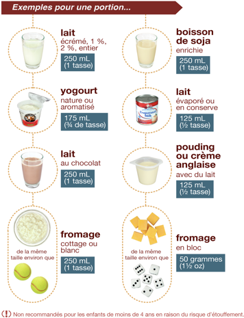 Exemples pour une portion des produits laitiers et des substituts