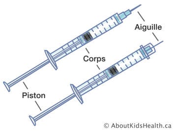 L’aiguille, le corps et le piston d’une seringue